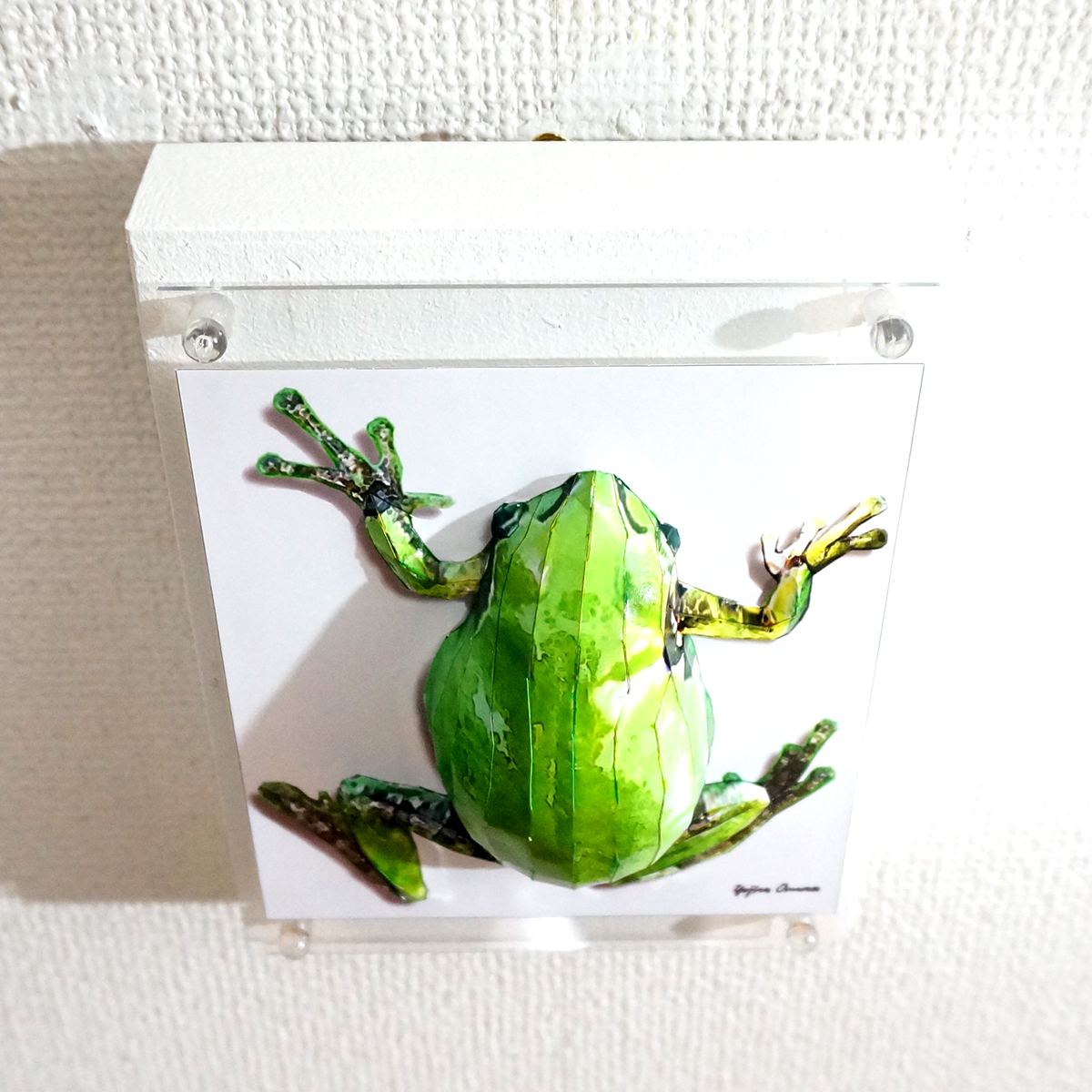 そしてアマガエルの背は蒼く - 画像 (8)